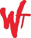 WiseTech Logo
